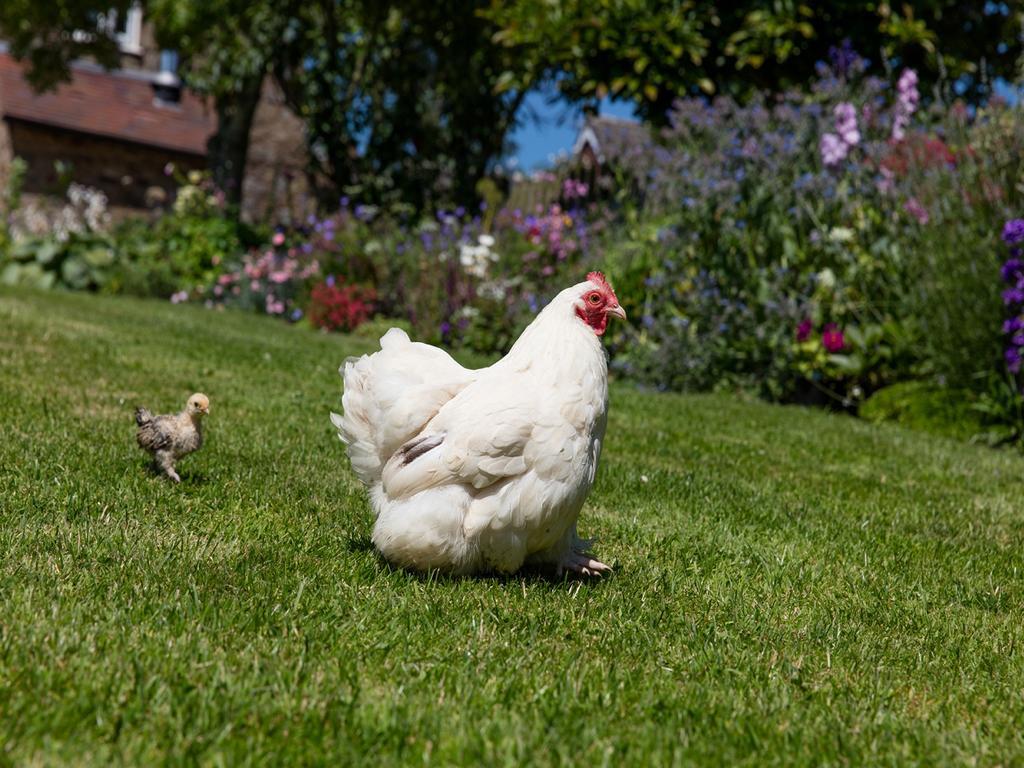 The Graig Bed & Breakfast Ludlow Farden Buitenkant foto