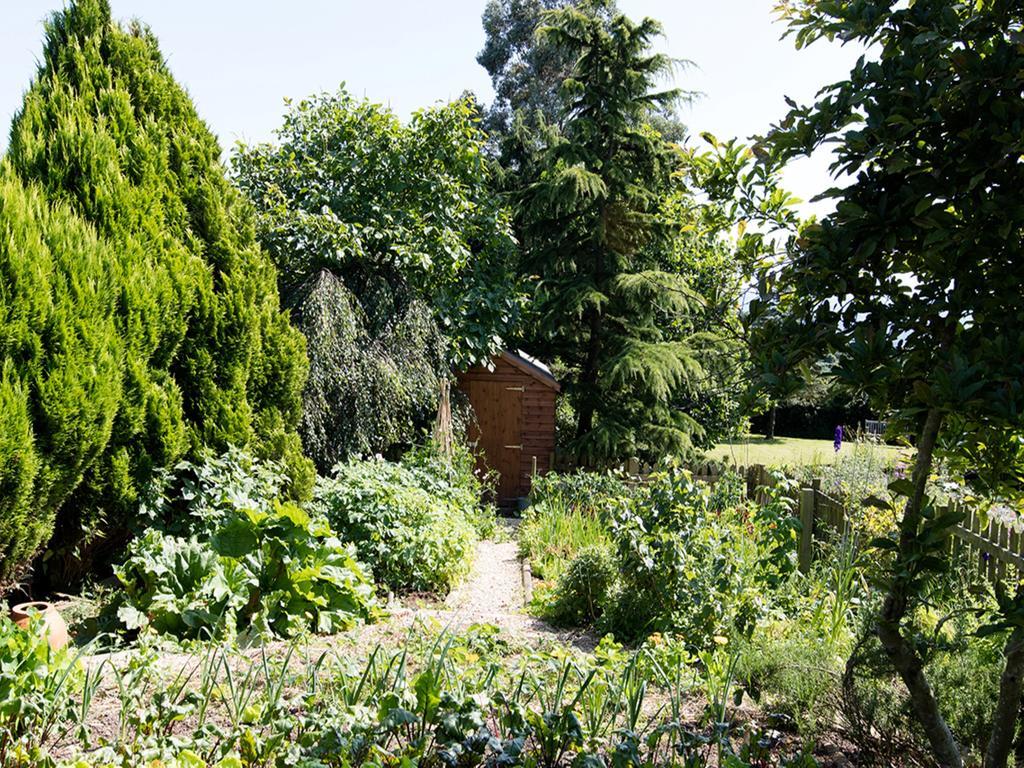 The Graig Bed & Breakfast Ludlow Farden Buitenkant foto