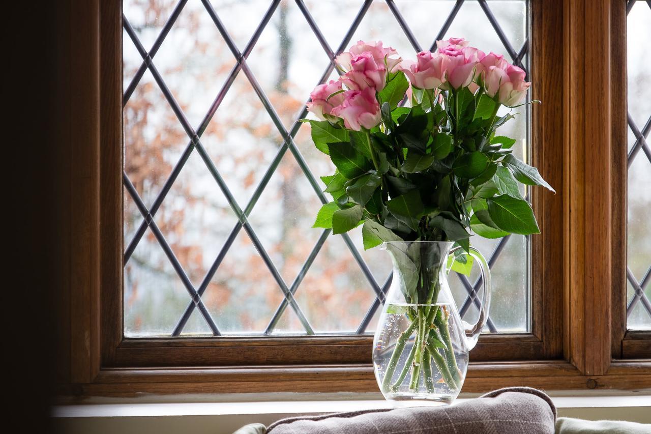 The Graig Bed & Breakfast Ludlow Farden Buitenkant foto