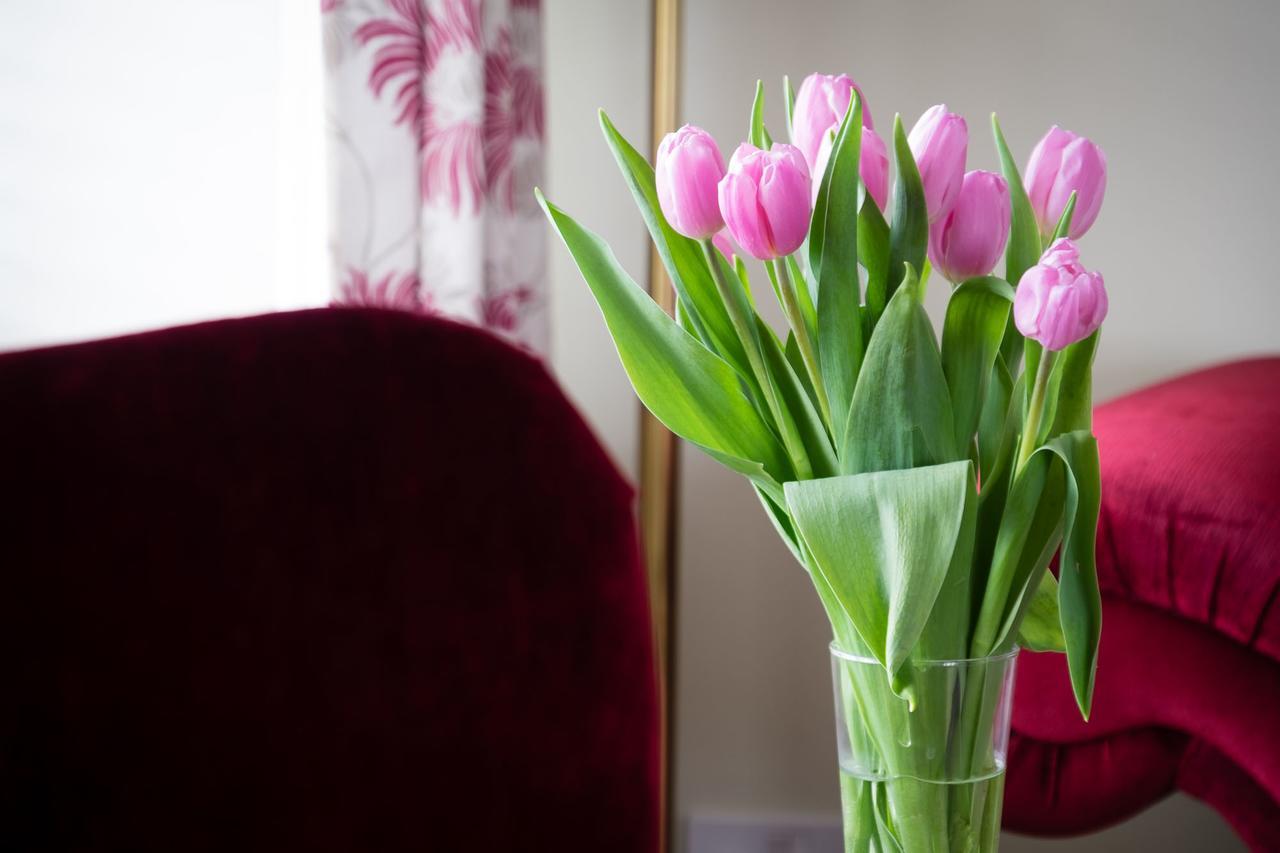 The Graig Bed & Breakfast Ludlow Farden Buitenkant foto